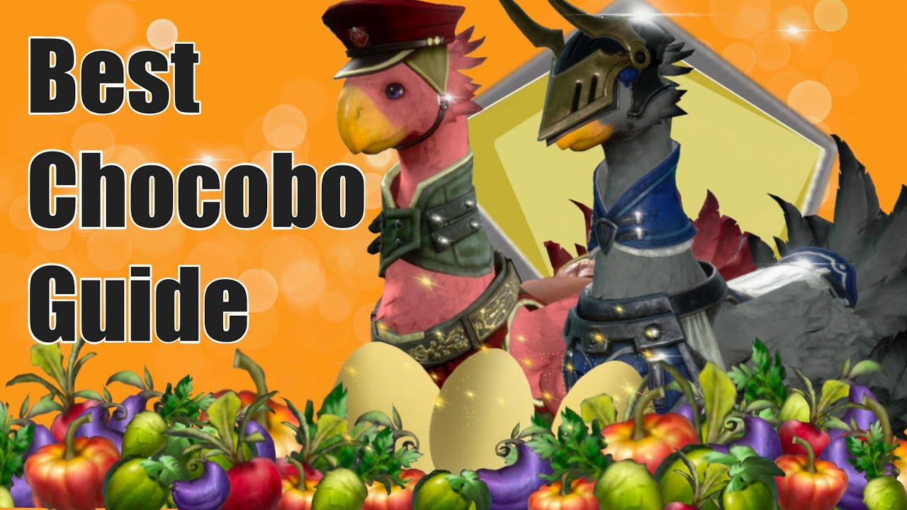 FF7 First Soldier: Best Chocobo Guide (Breeding, Feeding & More)