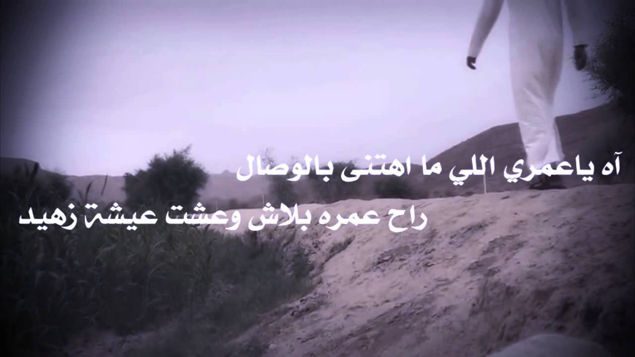شيلة ياحبيبي حكمت وخل حكمك عدال أداء بندر بن عوير وشبل الدواسر