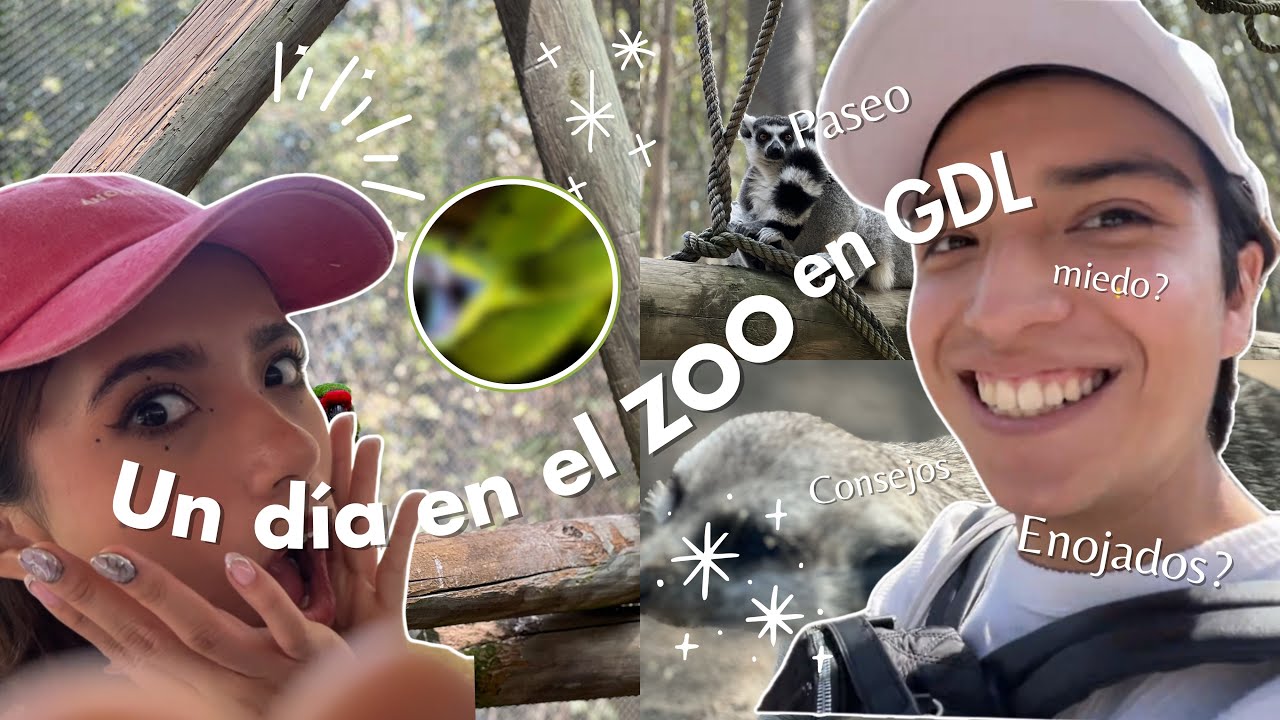 Visitamos el Zoológico de GDL pt 1 🦁🐒🐘
