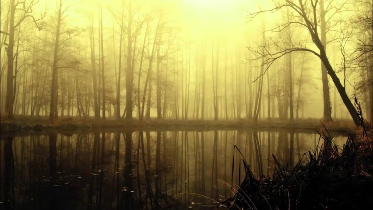 Avernus pres. Arteca - Empathy (Emotional Mix)
