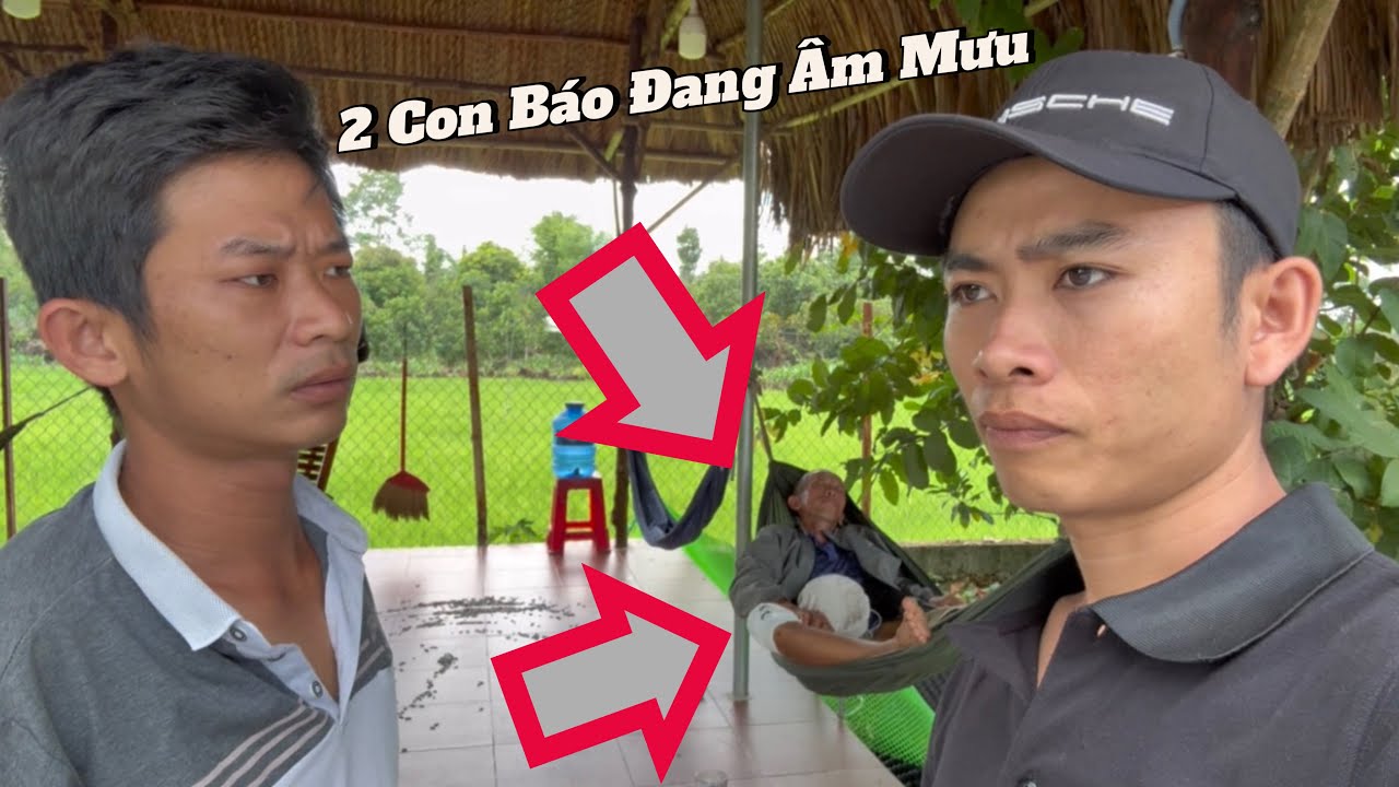 Cậu Tài bị thương đang băn bó mà cũng bị 2 Con Báo Troll- Rồi Troll luôn Ba Má Nuôi nữa chứ