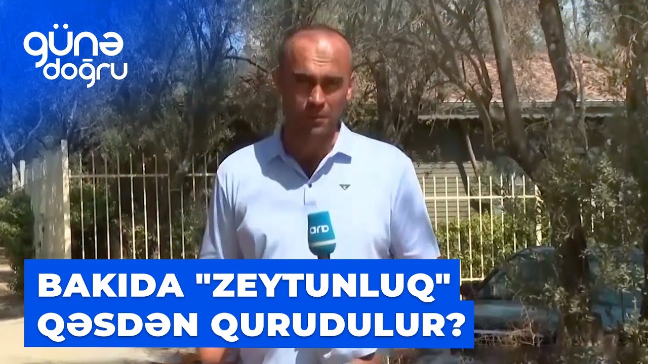 Günə doğru | Bakıda 