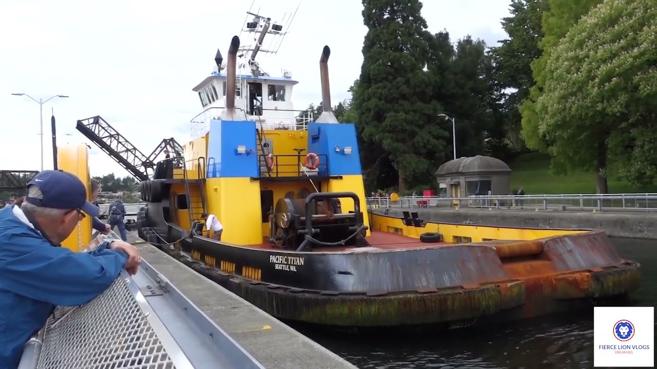 I Saw 1 Giant Tugboat and a Barge Being Pushed by a Tugboat go Through the Seattle Boat Locks