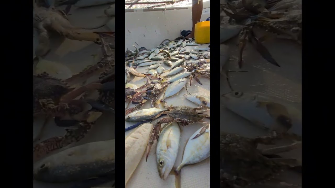 Thanks to our boss captain for taking us fishing #qatar #qatarfishing