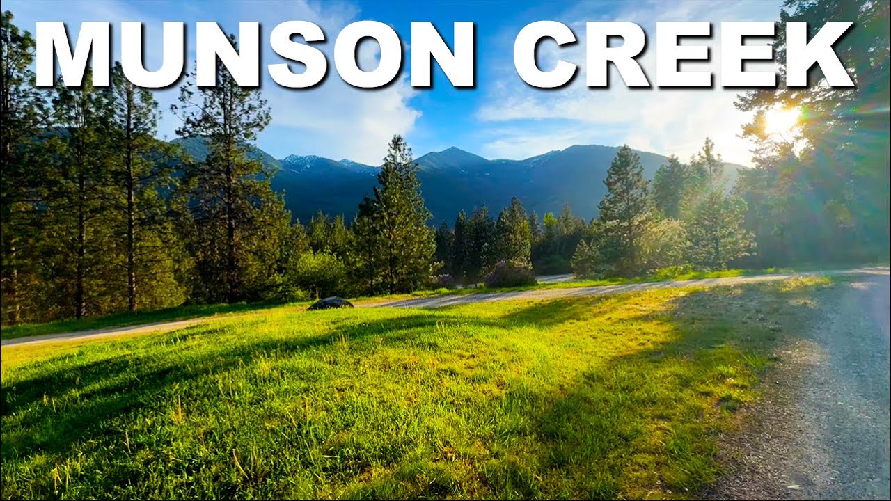 Munson Creek | Lolo National Forest, Montana