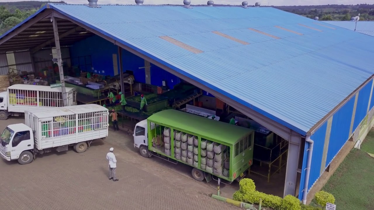 Kuresoi Tea Factory