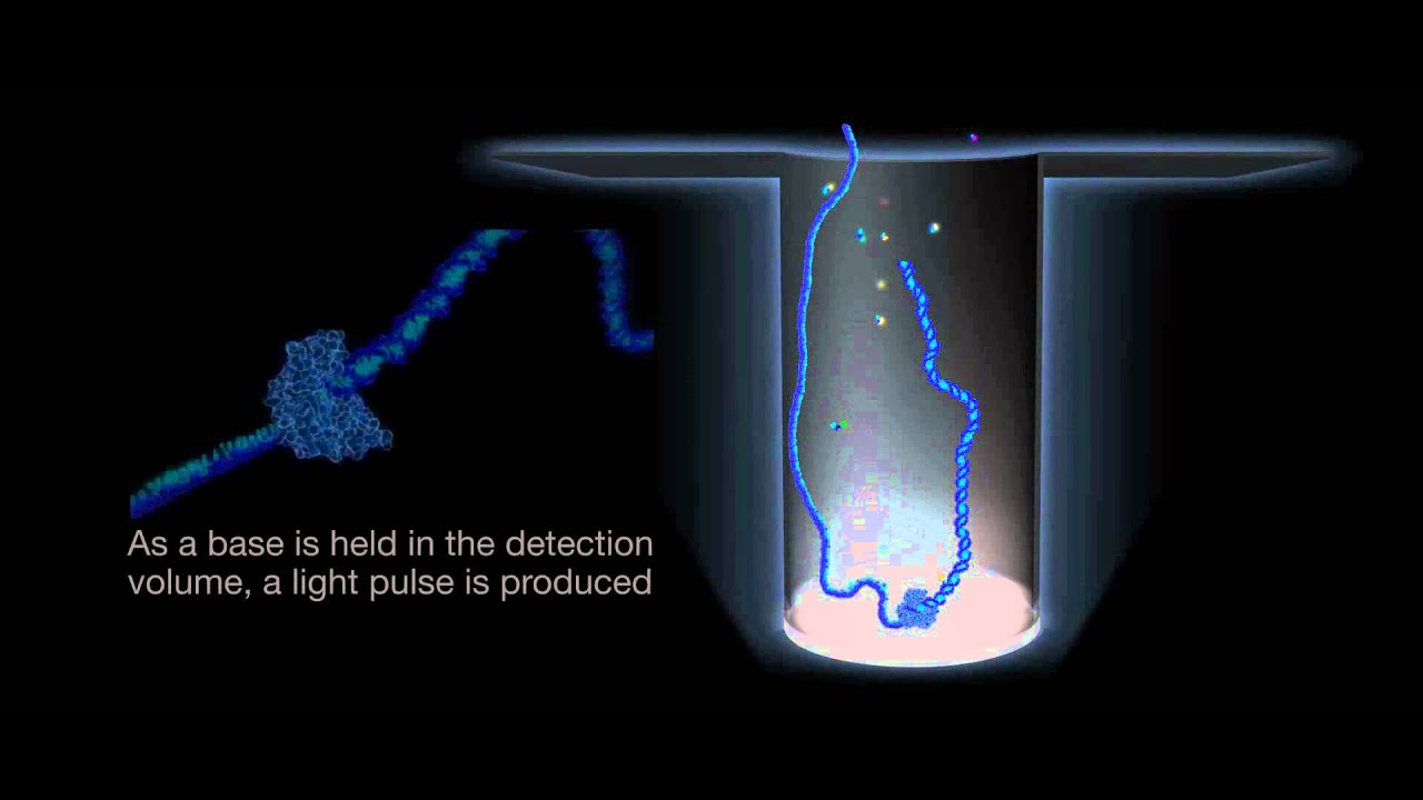 Introduction to SMRT Sequencing