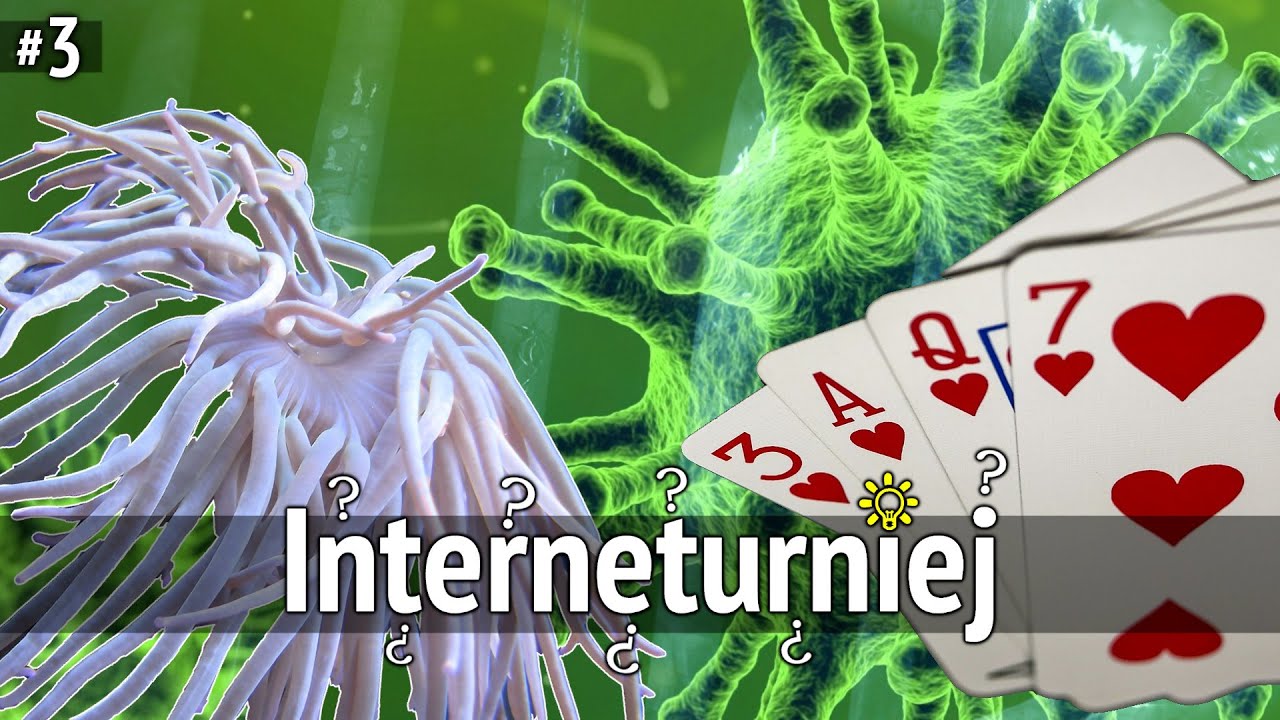 Interneturniej #3 - quiz z wiedzy ogólnej