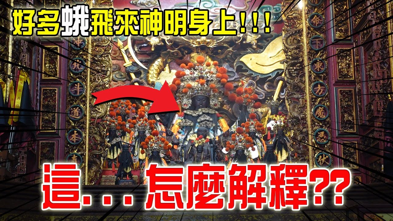 【一直玩一直玩】EP26 這...怎麼解釋?!好多蛾飛來神明身上!!!!跑一趟阿里山!就為了親眼目睹玄天上帝的神蹟!(內有開箱文~!!)