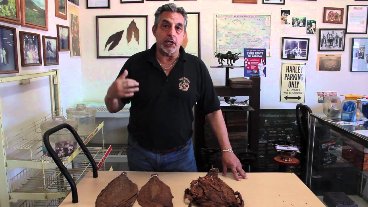 Curing and Furmenting Tobacco - LVCC.com