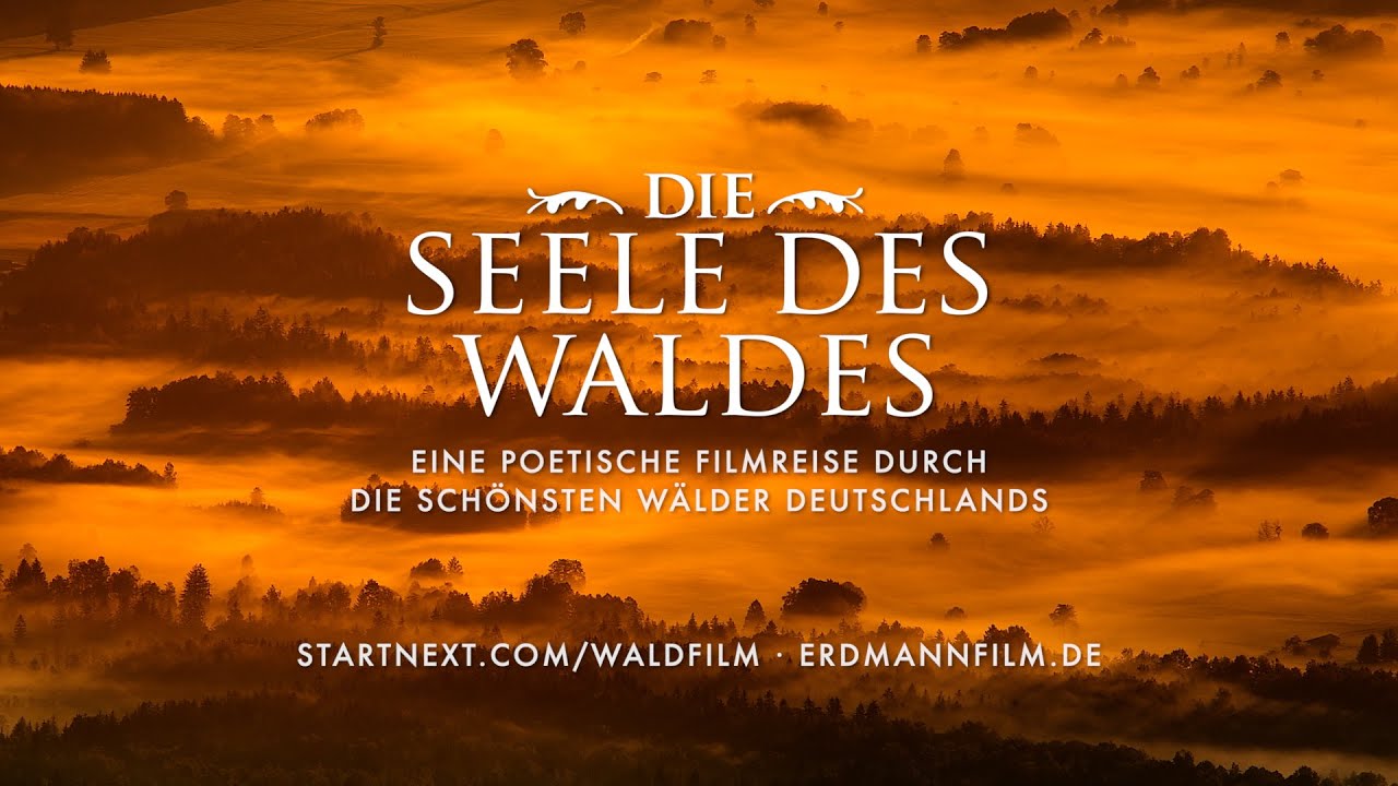 Die Seele des Waldes - Startnext