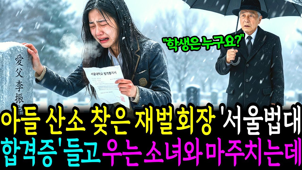 아들 묘지 찾은 대기업 회장님, “아빠… 나 서울대 법대 수석 합격했어” 합격증을 안고 대성통곡 하는 여학생과 마주치는데…ㅣ노후사연ㅣ감동사연ㅣ사연라디오ㅣ오디오북