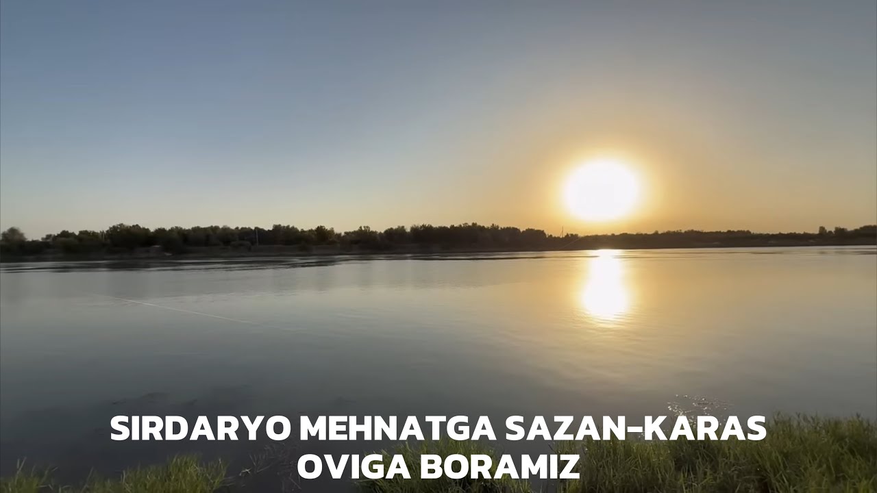 Sirdaryo baliq o’vi 18.08.2025