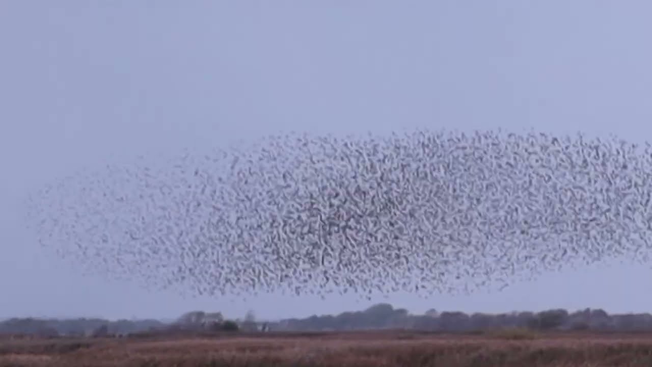 Sort sol Haasberger See , aften ,morgen og aften .