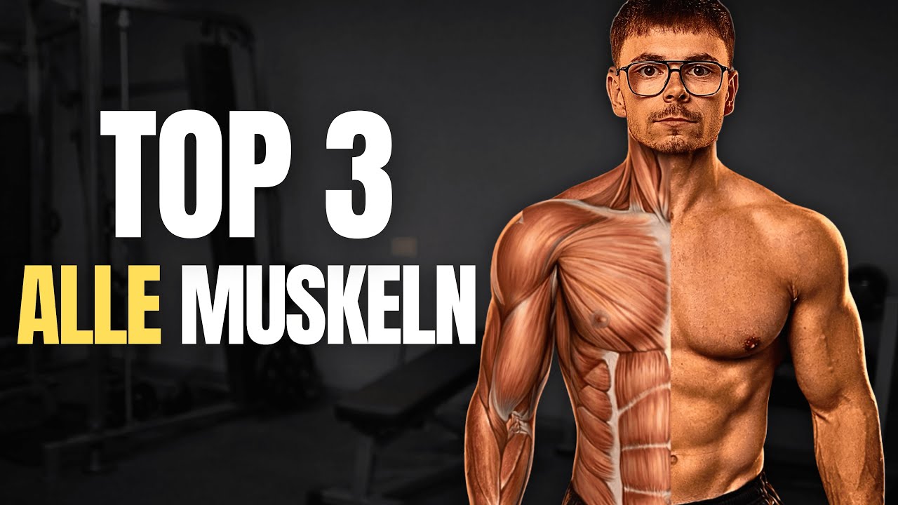 TOP 3 Übungen für ALLE Muskeln!