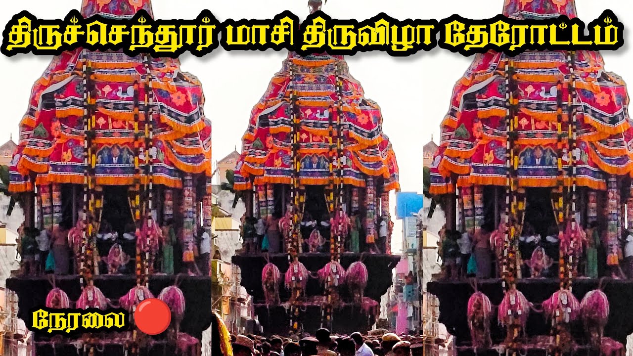 திருச்செந்தூர் மாசி திருவிழா தேரோட்டம் நேரலை 🔴