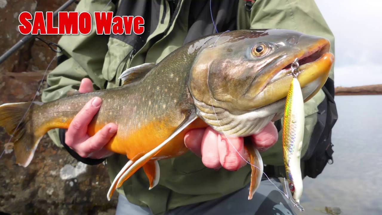 SALMO Wave - new amazing swimmig jig!
