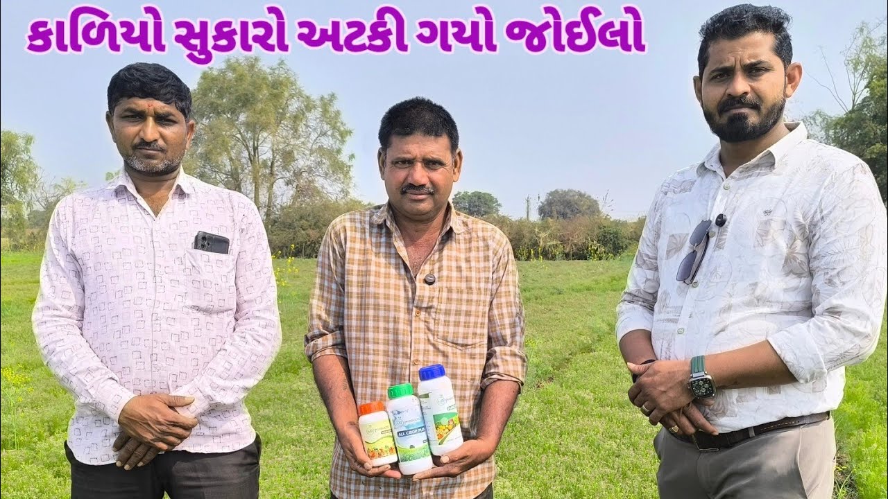 જીરા માં કાળિયા સુકારામાં જોરદાર રિઝલ્ટ