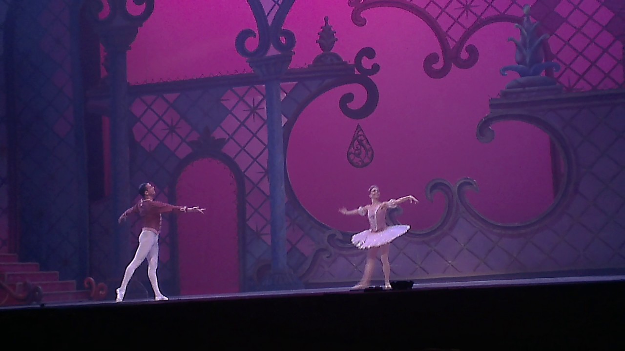 Pas de Deux Rosado Cascanueces , Teatro Teresa Carreño 22/12/2016