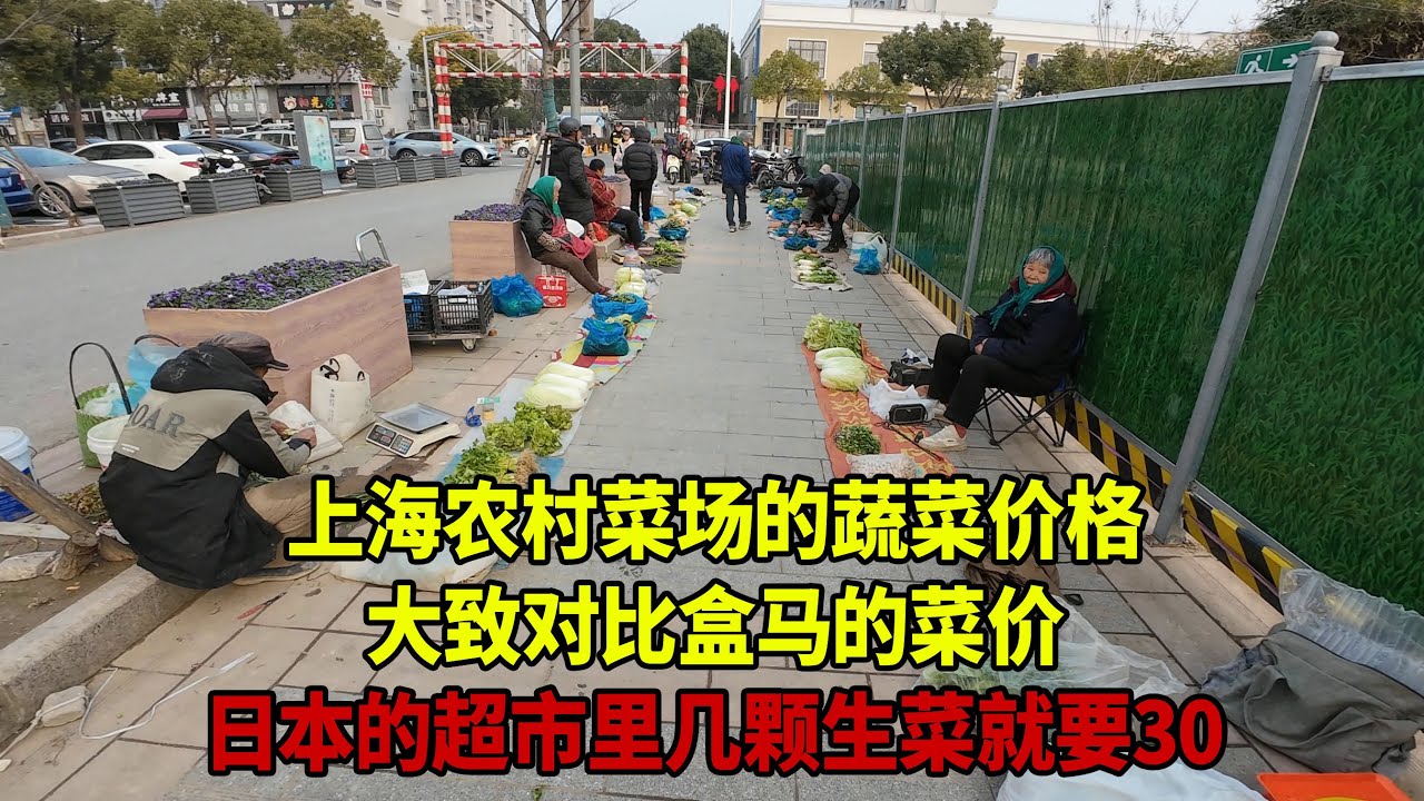 上海农村小镇的当地人卖的菜价  和阿里巴巴旗下的盒马生鲜的菜价大概对比 蔬菜的价格确实不贵 但是肉类还是比较高的价格 相对于发达国家 正好相反  蔬菜他们很贵 网上说是照顾农民的收入  但肉类比较便宜