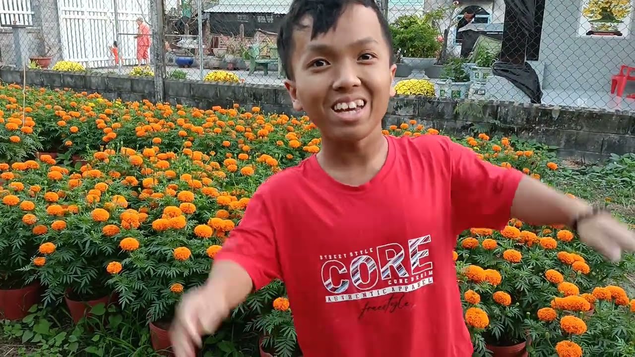Chú Lùn Xem Vườn Hoa Ở Củ Chi Đón Tết Bính Ngọ Đây ✅🎋🎋