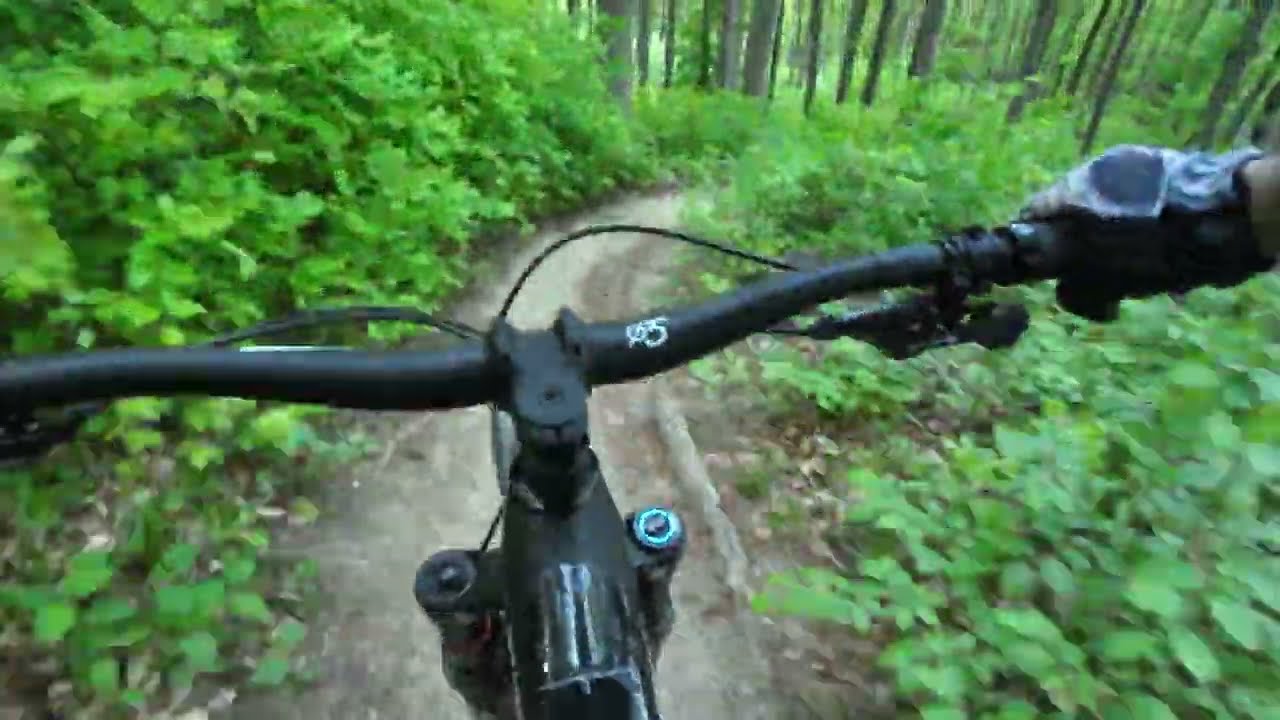 MTB | Wienerwald Trails | Sauberg Trail | April 2024