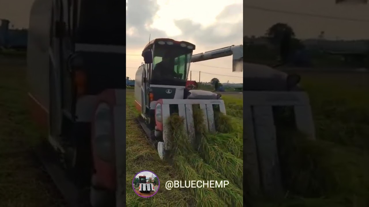 Kubota DR120 combine harvester#harvester #kubota #agriculture #combineharvester #agriculturemachine