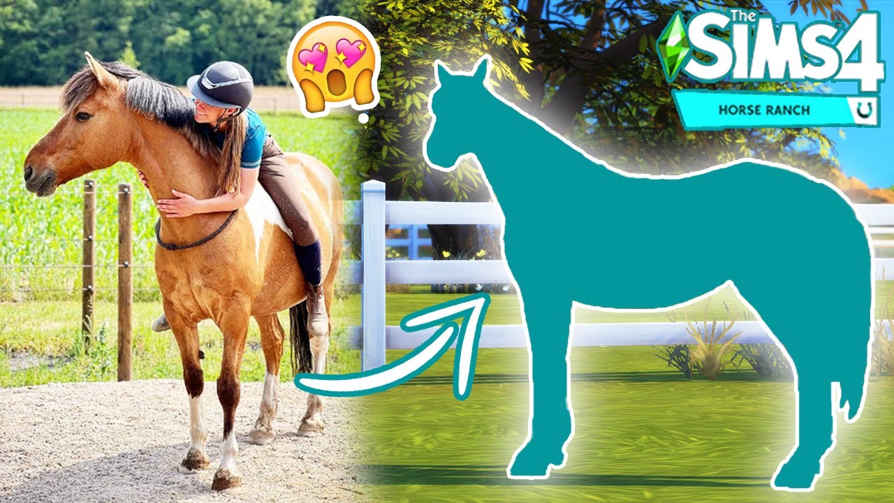 MARLEY van FELINEHOI NAMAKEN in de SIMS 4 😱  | Sims 4 Paardenboerderij | Zoo Lianne