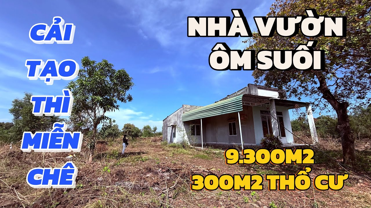 25 NĂM KHÔNG VỀ QUÊ | QUYẾT BÁN NỬA GIÁ VÌ KHÓ KHĂN 