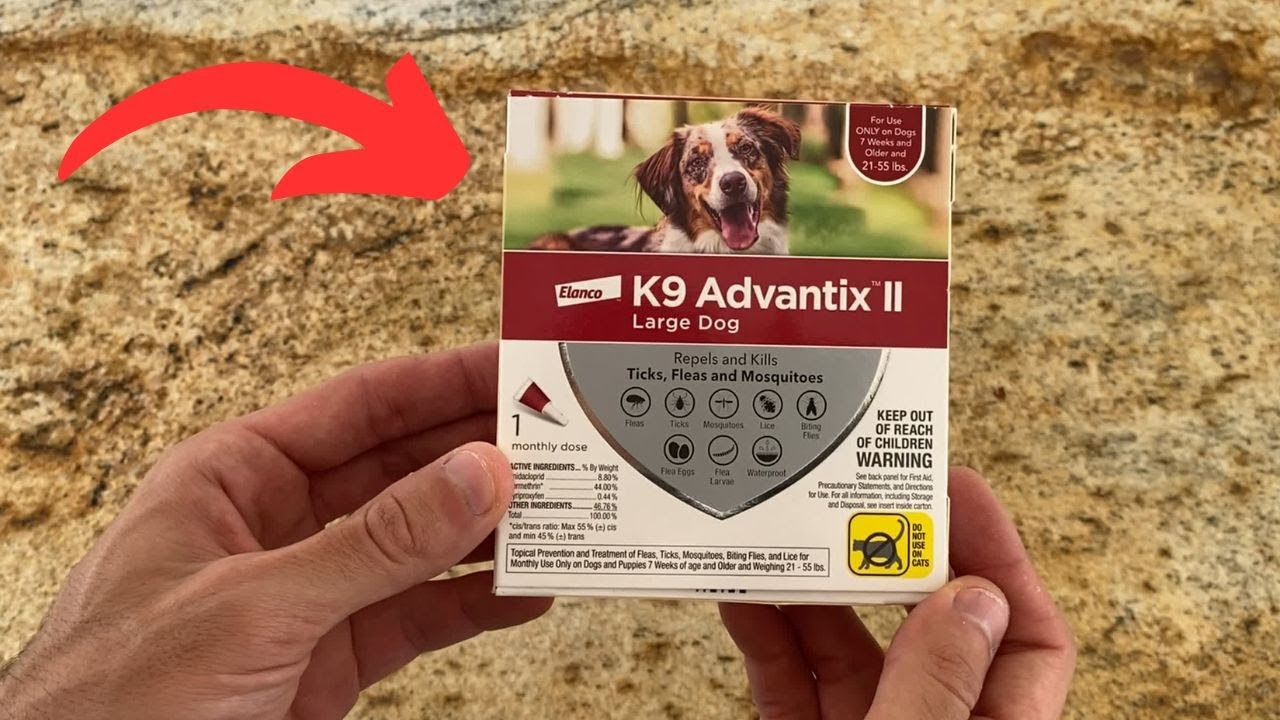 Насколько эффективен K9 Advantix II? Средство от блох, клещей и комаров для собак.