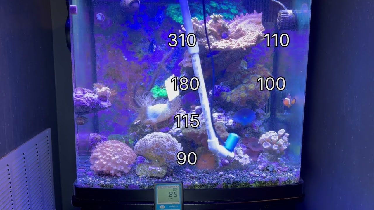 Уровень PAR у рифовых светильников 21LEDUSA на BioCube 32 — сколько света добавляется?