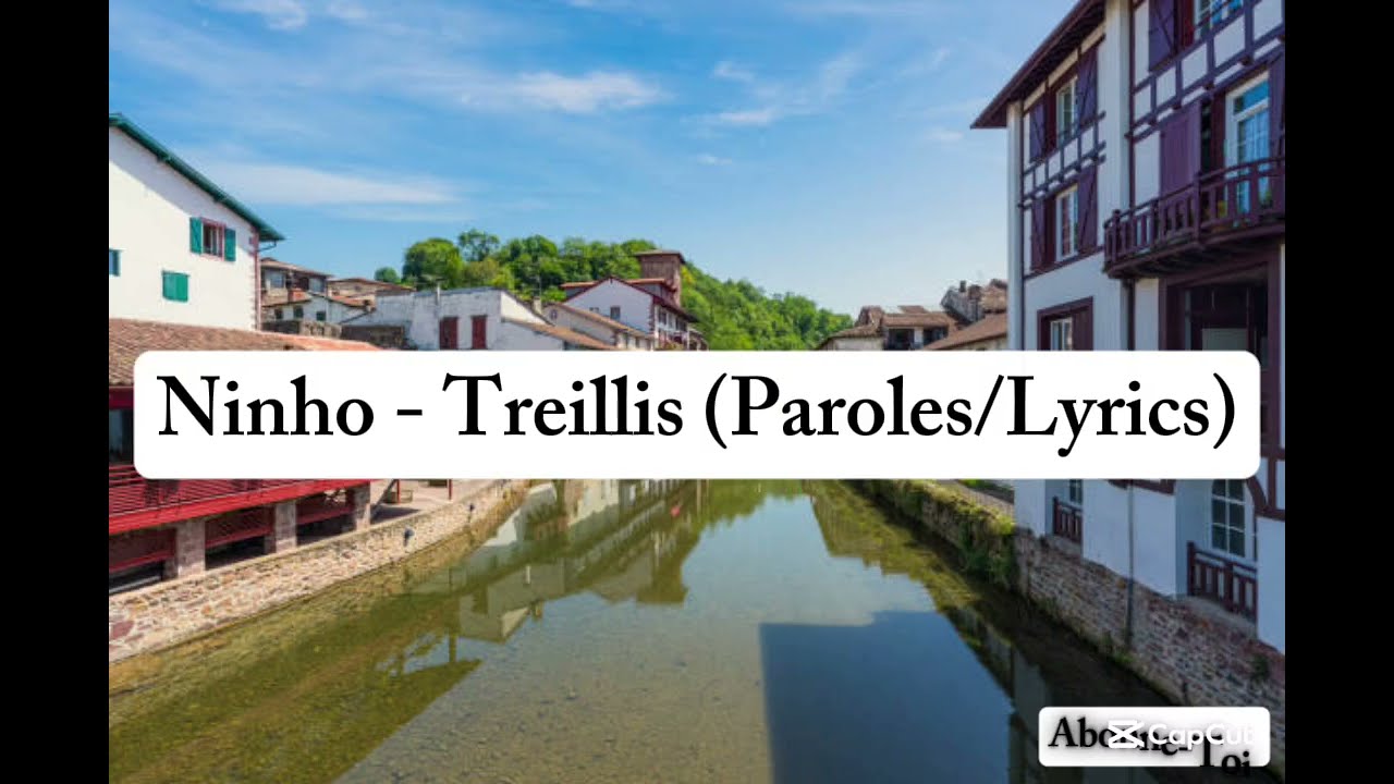 Boite Noire & Ninho - Treillis (Paroles/Lyrics)
