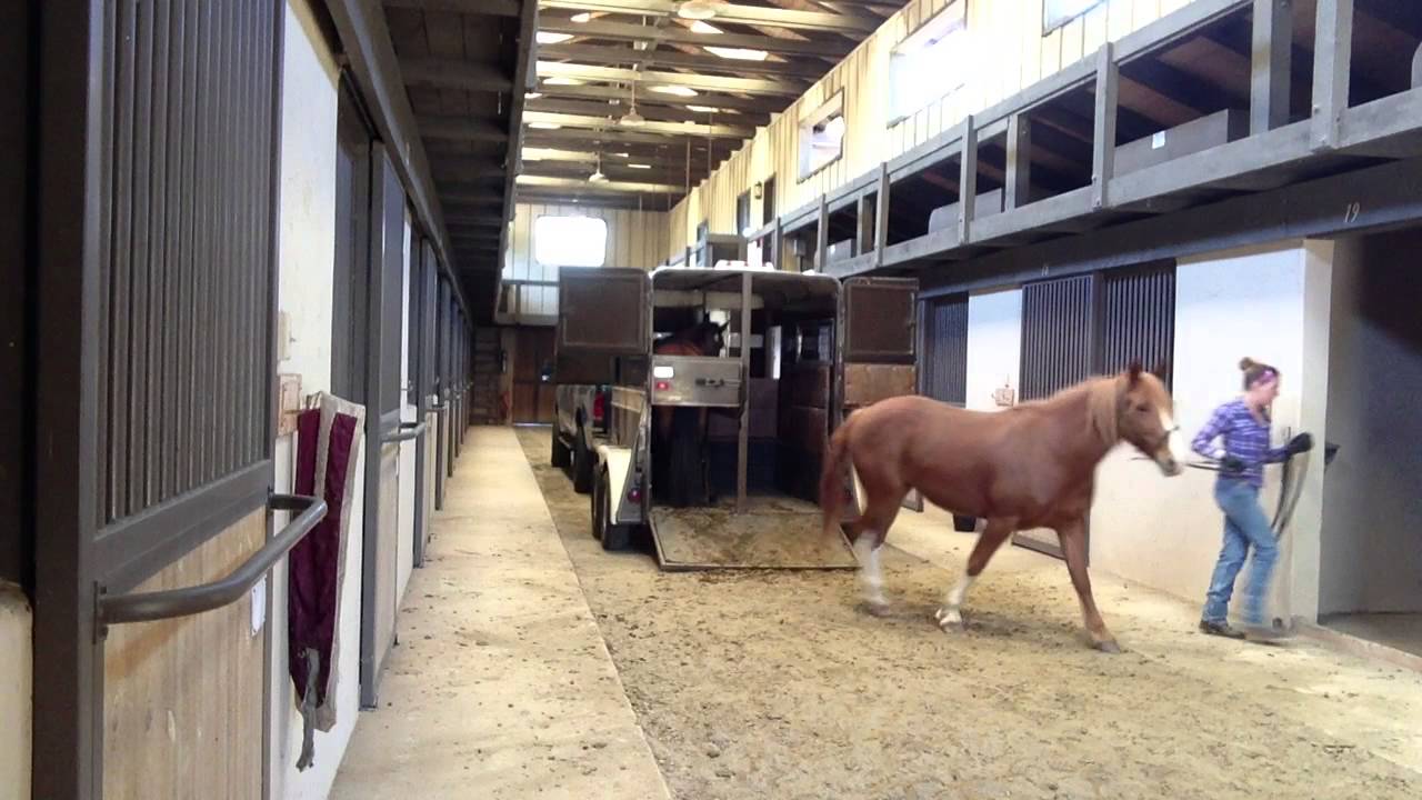 Loading and Unloading 8 horses in 5 min