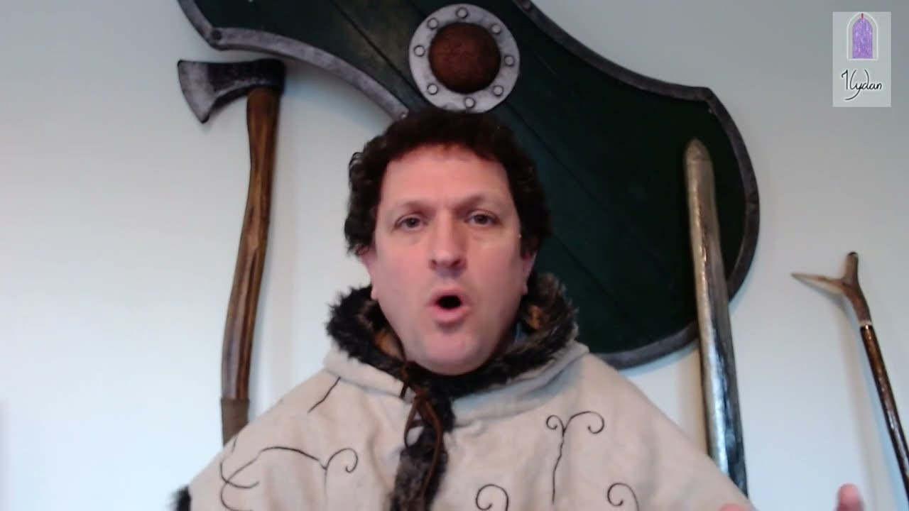 What is Ilydan LARP About?