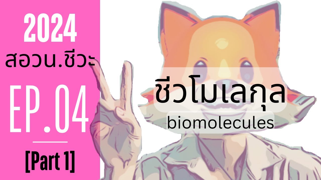 EP.04/31 [PART1] - ชีวโมเลกุล - สอวน. ชีววิทยา 2025
