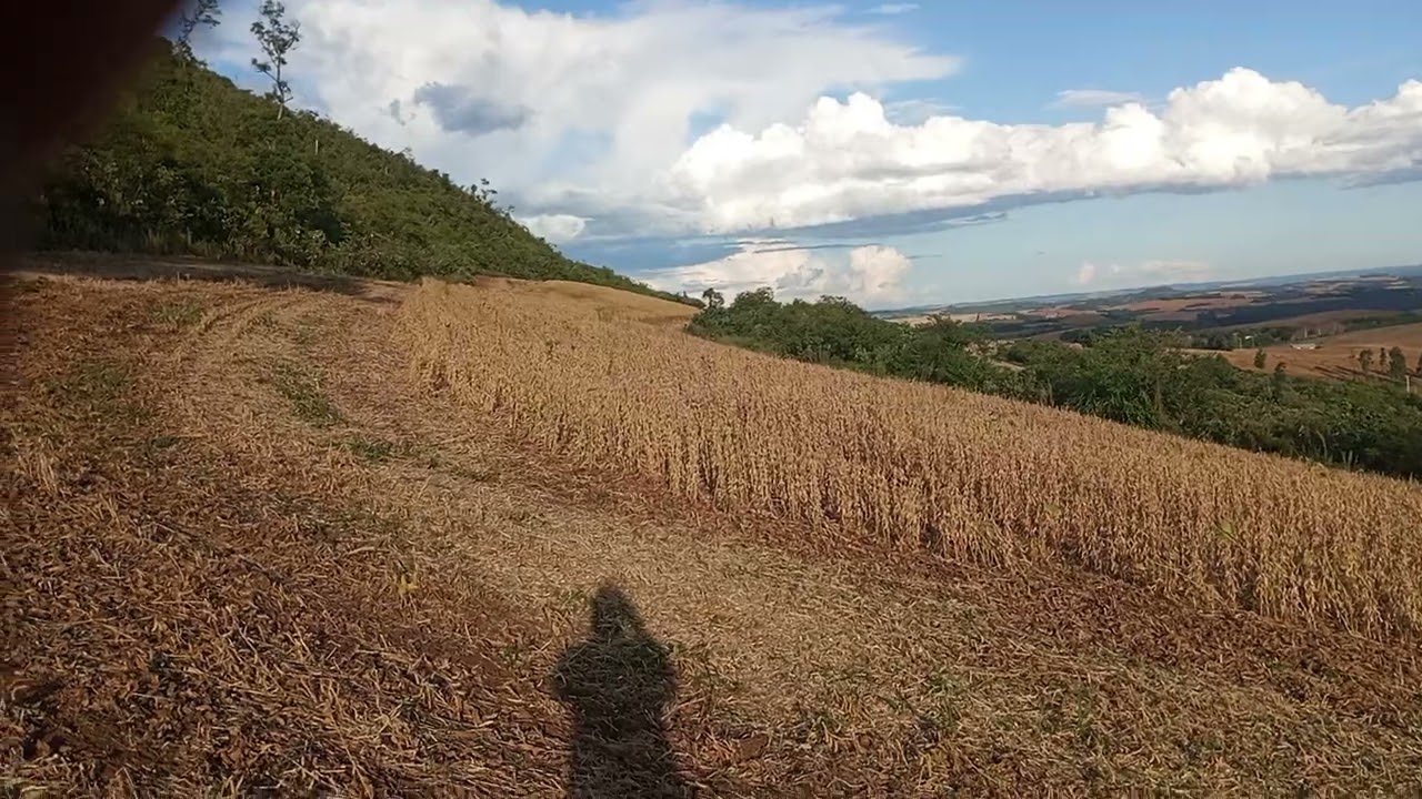 Só na correria 