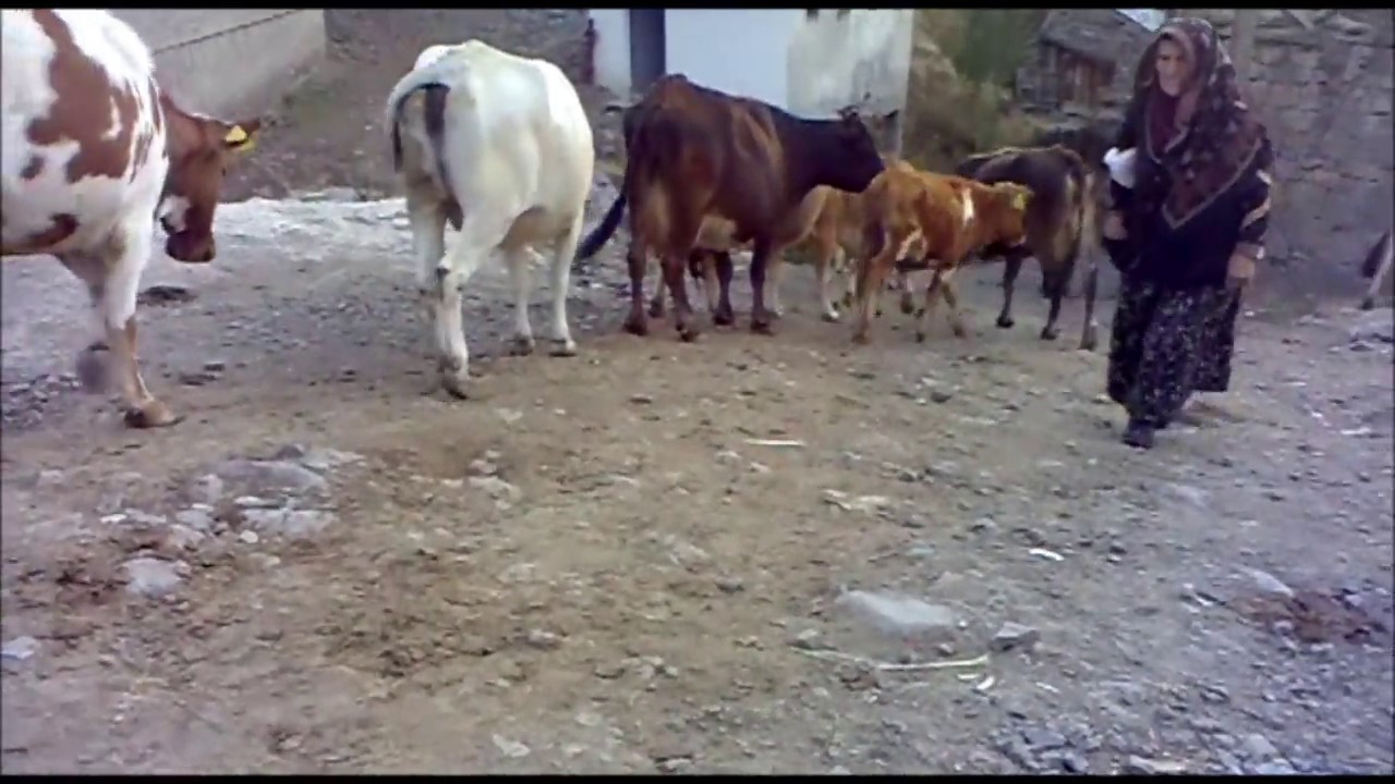 İspir İyidere Köyü (Video Klip) HD
