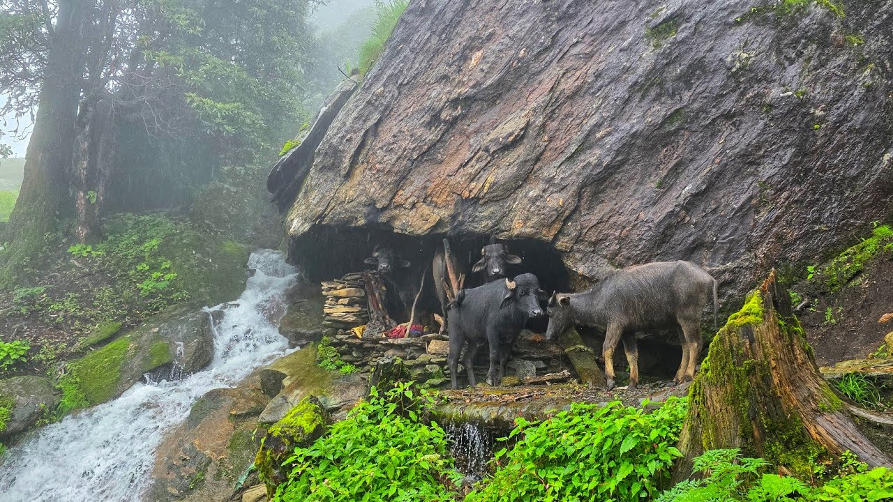 Real Himalayan Nepali Mountain Village Life During Heavy Rain | Rainy Season Documentary Video | 