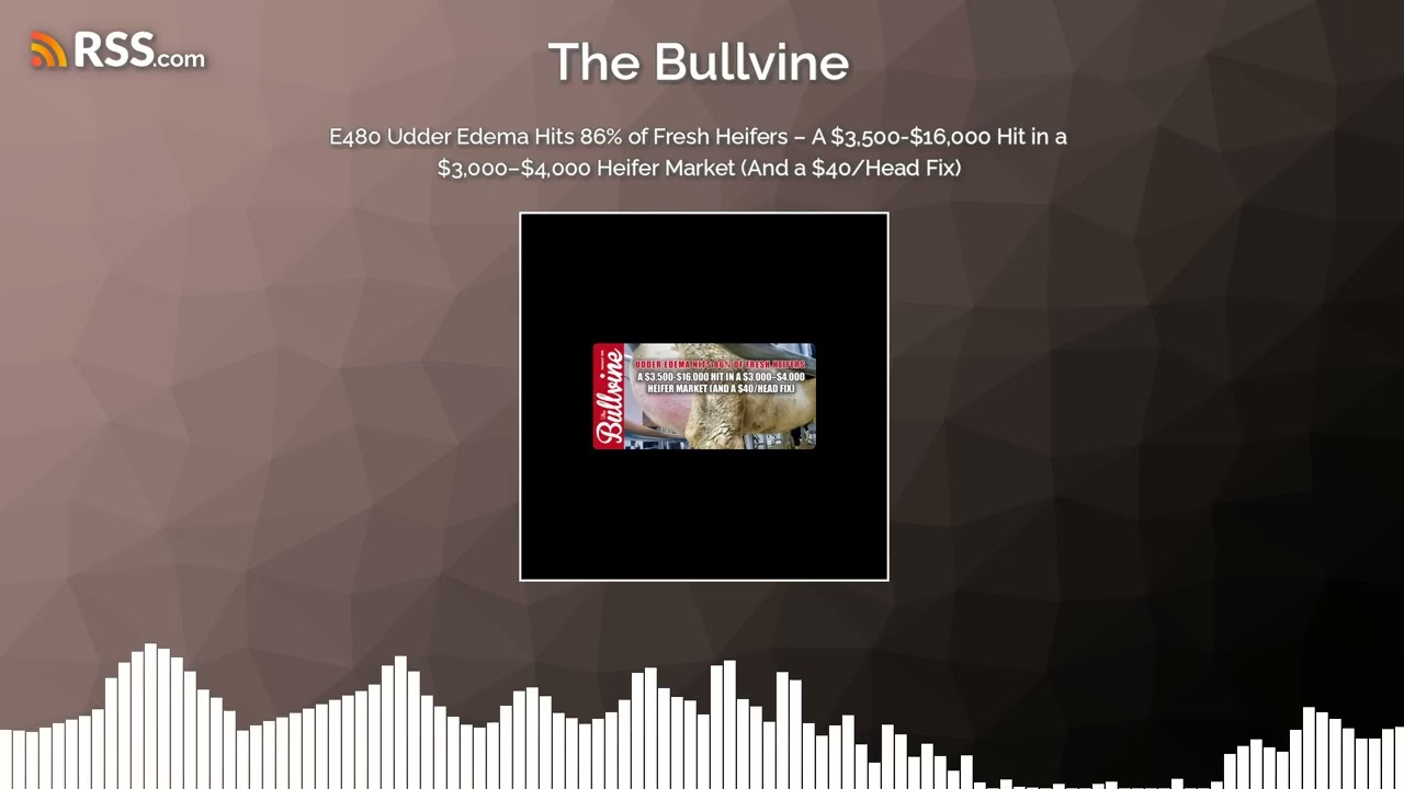 E480 Udder Edema Hits 86% of Fresh Heifers – A $3,500-$16,000 Hit in a $3,000–$4,000 Heifer...