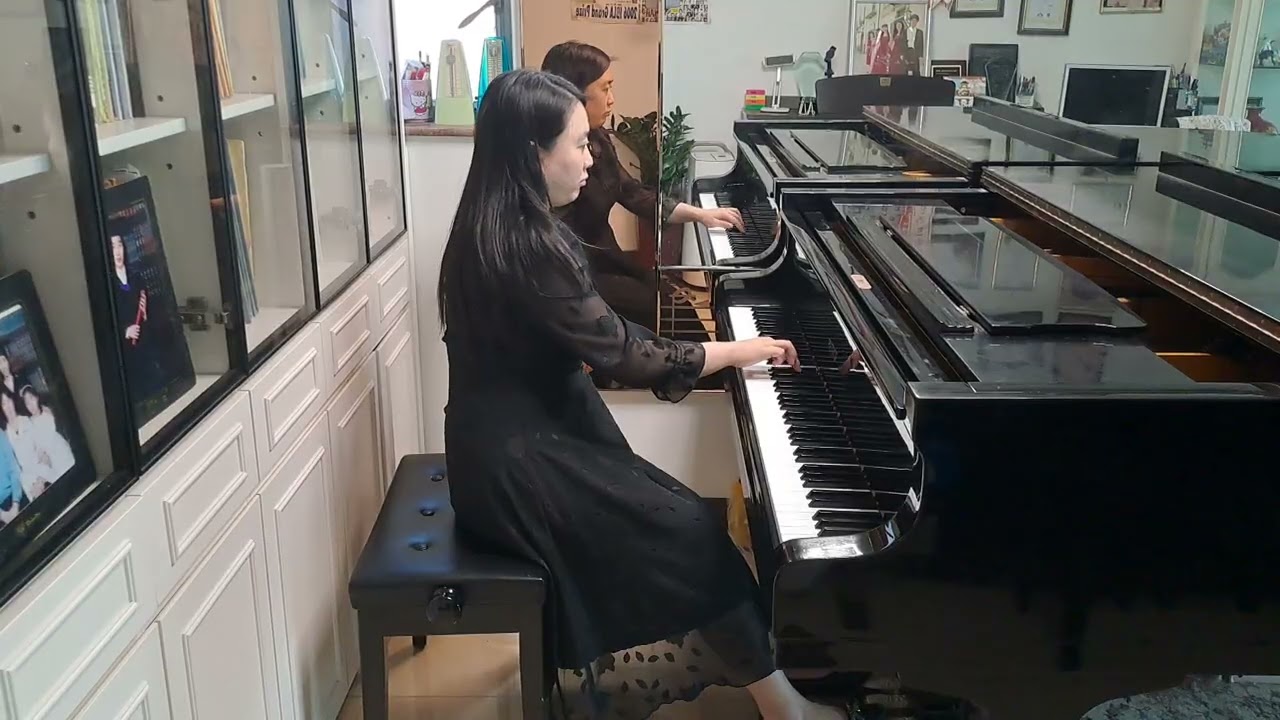 Franz Schubert: Sonata in B♭ Major, D.960 (First Movement)