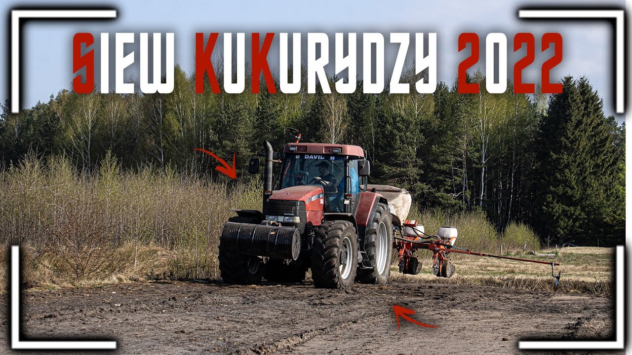 🔥Siew kukurydzy 2022🔥 Pustynia na polu! 🔥Case Mx 150 & Kuhn maxima II Ts🔥