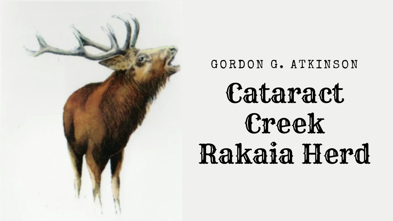 The Rakaia Herd Gordon G  Atkinson; Cataract Creek, Whitcombe Valley 1938