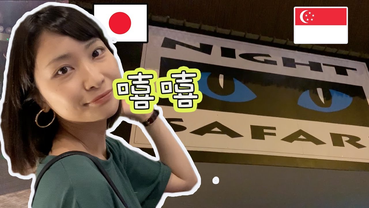 【新加坡】一夜游，被女友拉去当游客！