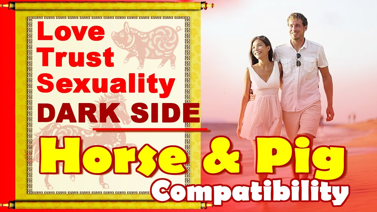 Horse and Pig Compatibility in Love Life, Trust, Intimacy | Horse & Pig Chinese Zodiac Compatibility
