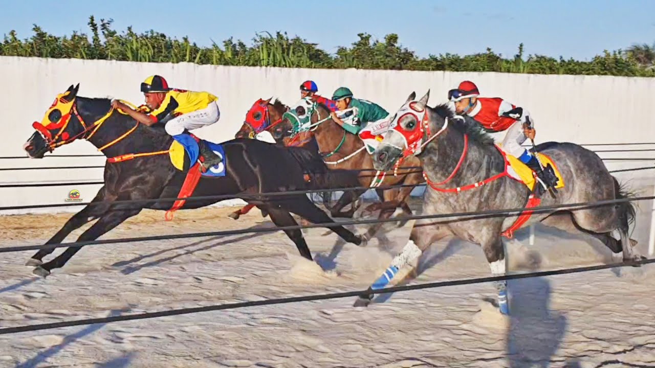 Especial: III GP HARAS 90 - Classificatórias e a grande Final