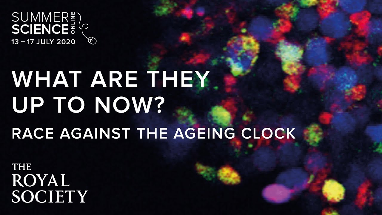 What are they up to now? Race against the ageing clock | The Royal Society