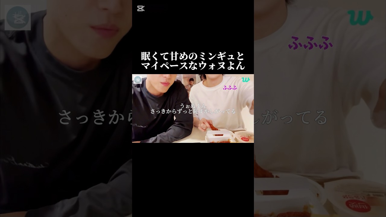 #セブチ#SEVENTEEN#セブチ日本語字幕#ミンギュ#ウォヌ#ミーニー#ウィバラ