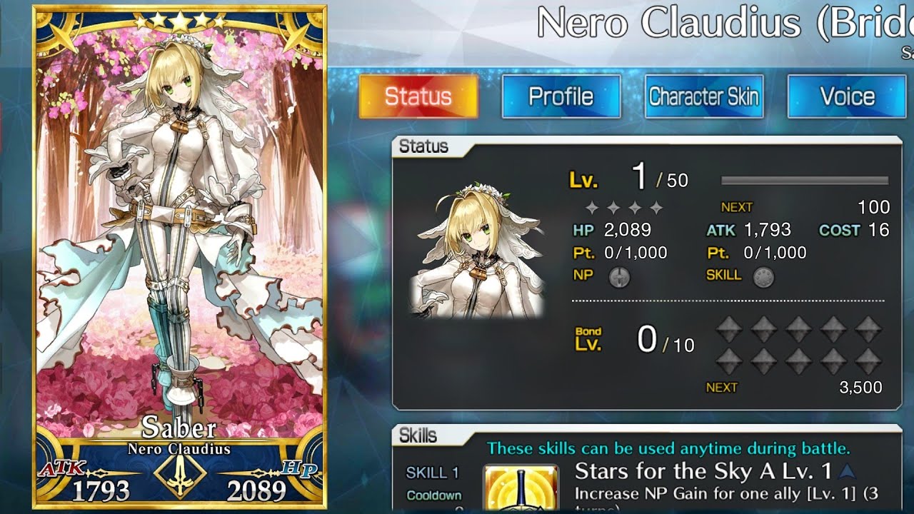 Start Dash Guaranteed Summon | FGO NA
