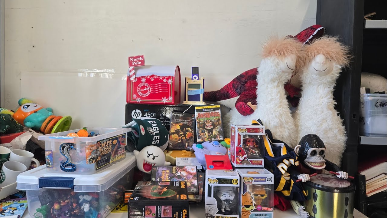 Best yard sale haul of summer. Rare game cube players choice and  250 dollar item for 2 dollars  