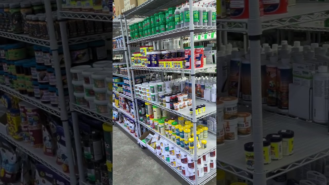 Quick store tour of our new store 